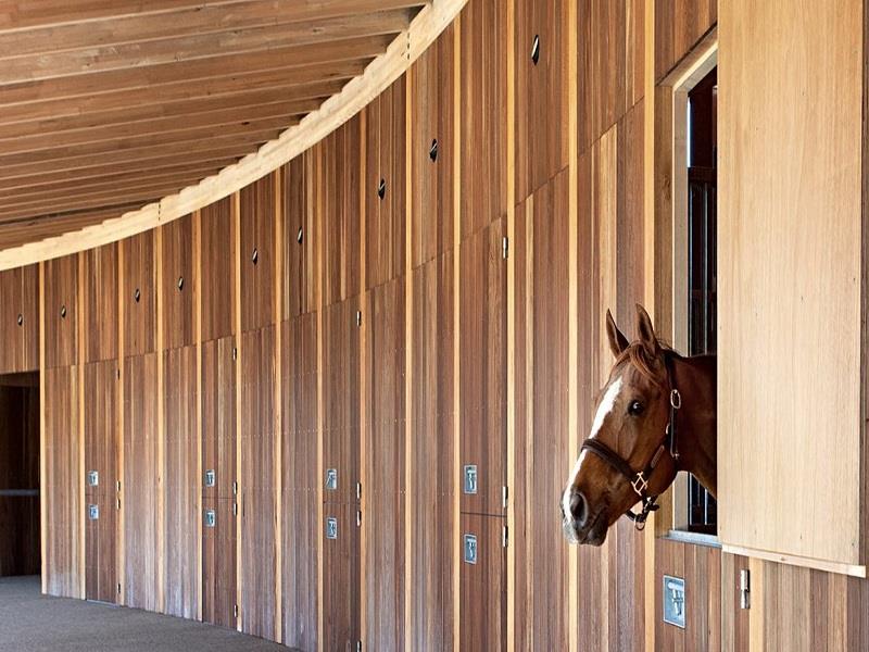 Essentials For The Modern Equestrian Center